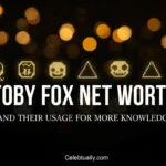 toby fox net worths